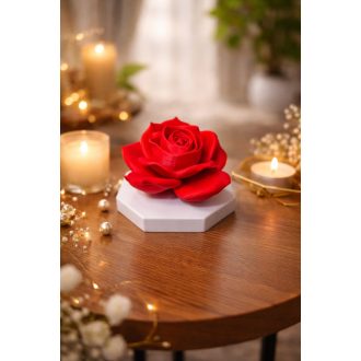 3d_rozsa