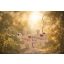 paros_kulcstarto_puzzle